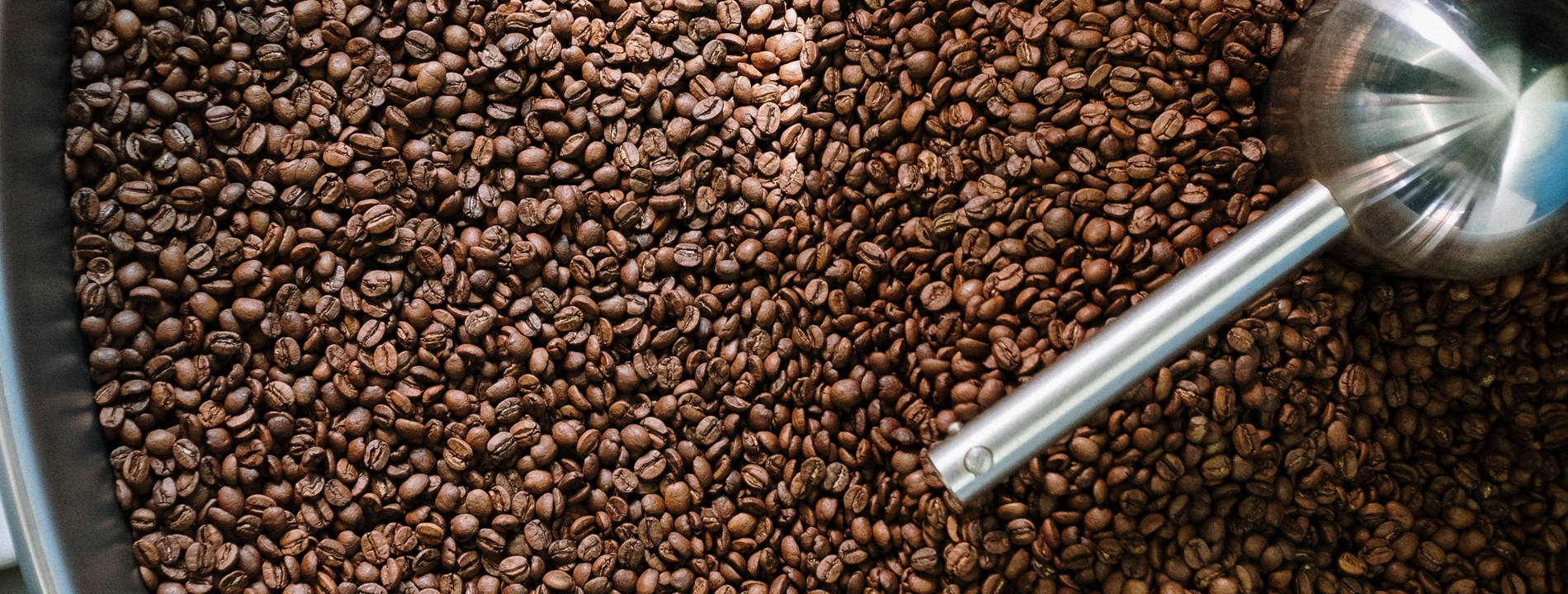 Auto generated site coffee store