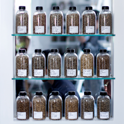 Auto generated site coffee store